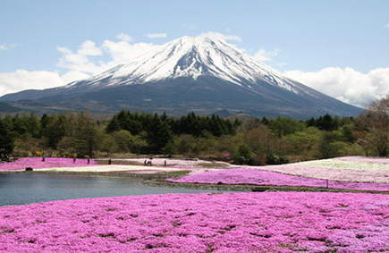 富士山聚合最新版本，自然与科技的完美融合探索