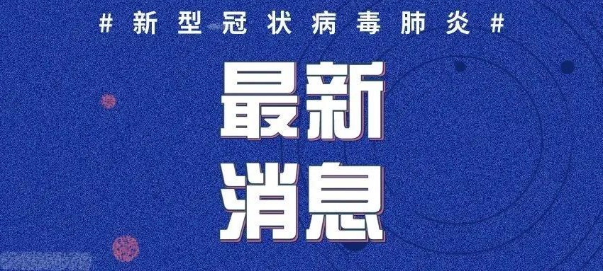 最新疫情肺炎动态分析与最新情况概览